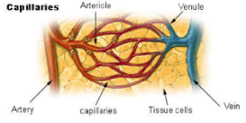 diabetic ulcer, diabetic foot ulcer, foot ulcer, diabetic foot treatment, neuropathic ulcer, diabetic wound, diabetic foot ulcer treatment, foot ulcer treatment, diabetic sores, toe ulcer