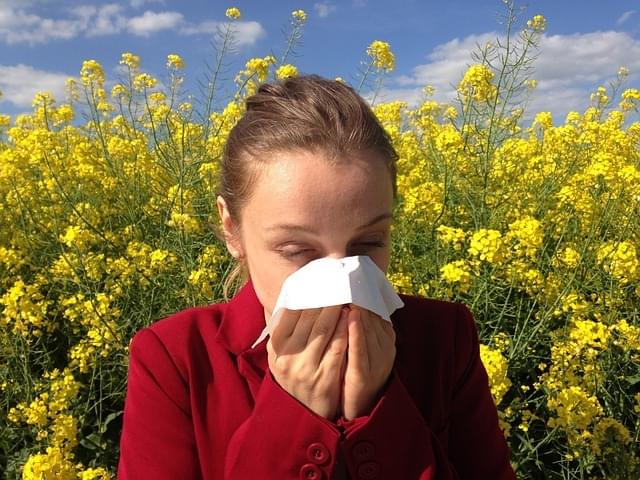 seasonal allergies pollen allergy, fall allergies, winter allergies, ragweed season, hayfever season, grass allergy, pollen season, spring allergies, summer allergies,